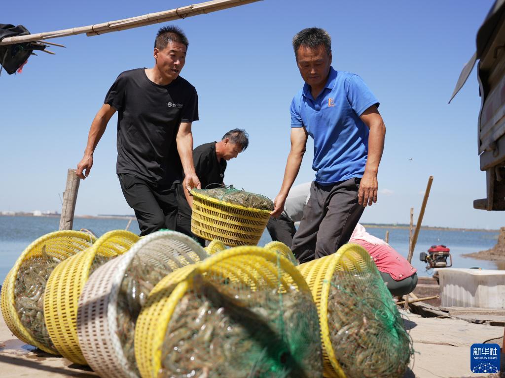美高梅国际注册